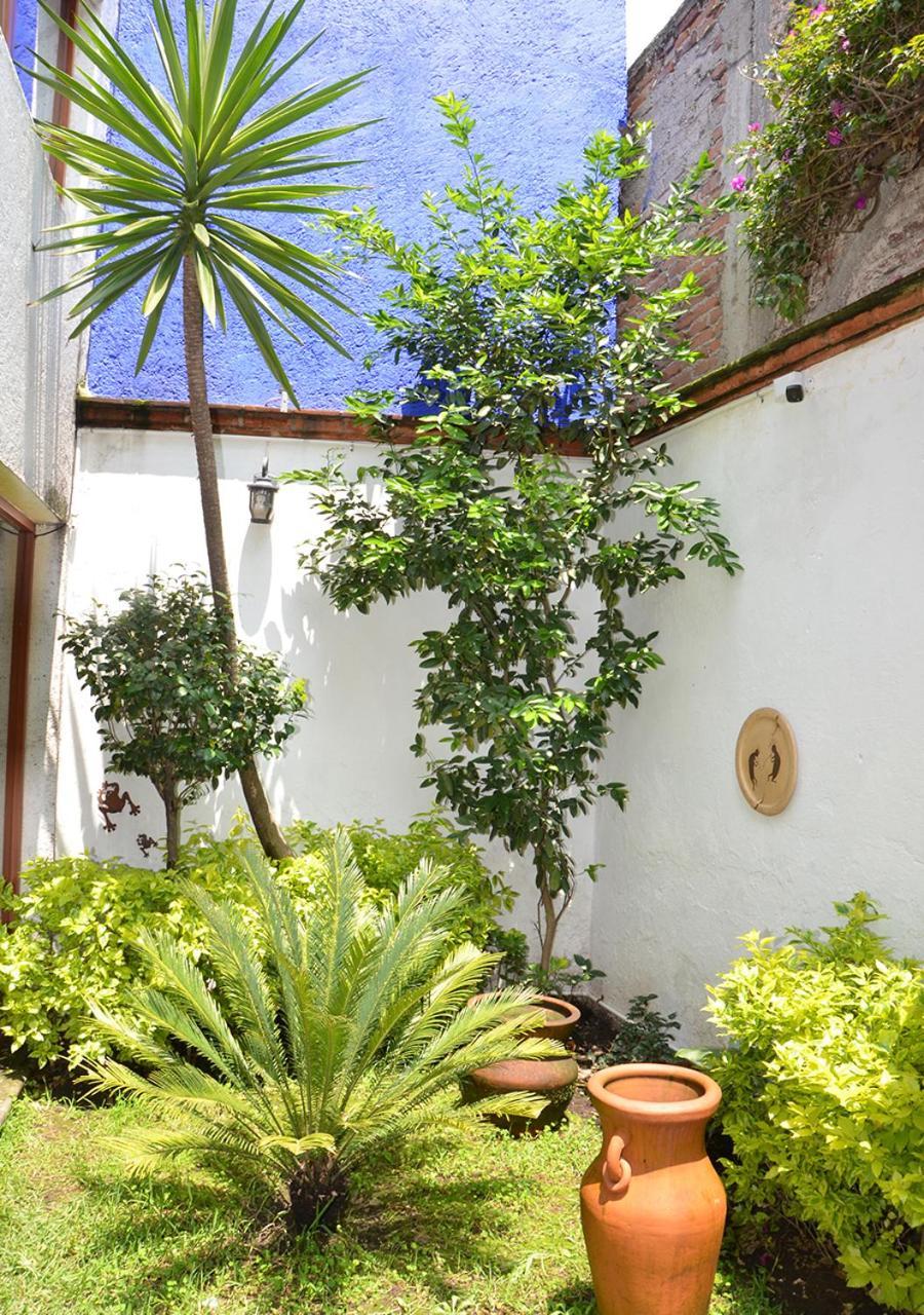Casa Coyoacan 멕시코 시 외부 사진
