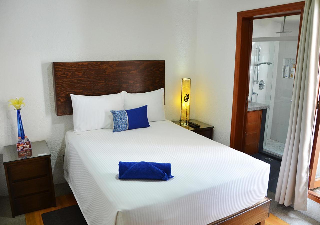 Casa Coyoacan 멕시코 시 외부 사진