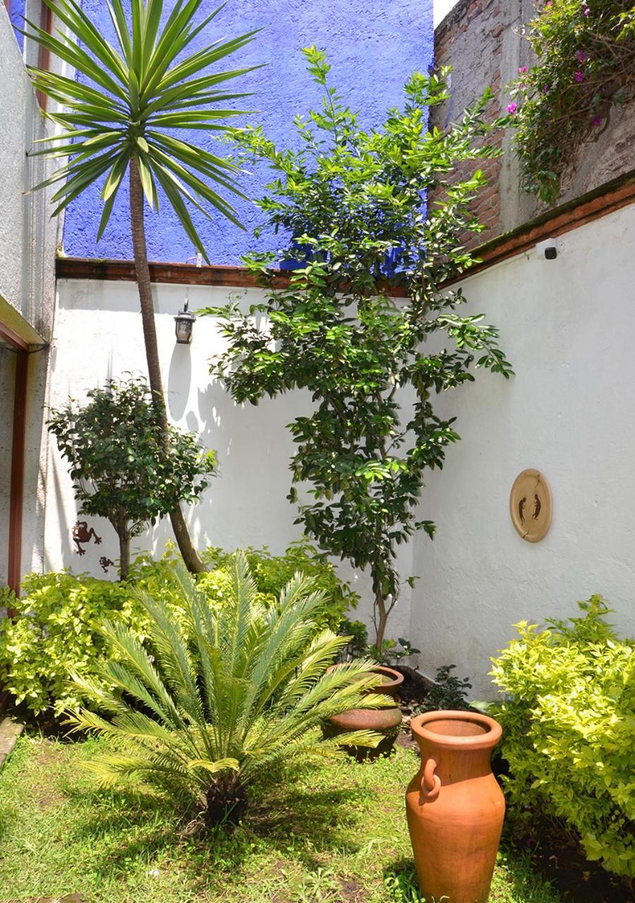 Casa Coyoacan 멕시코 시 외부 사진